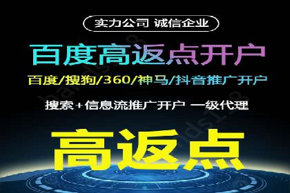 SEM托管服务，成功案例深度分析